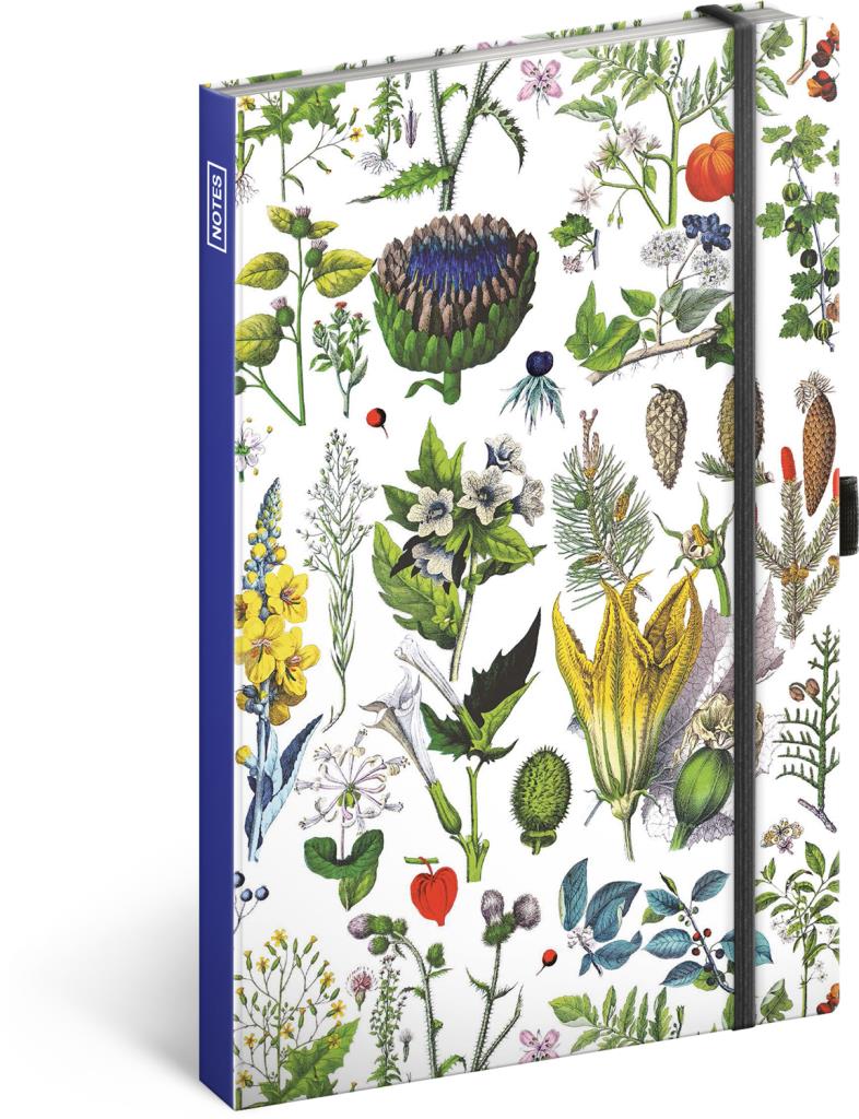 NOTIQUE Notes Bylinky Kateřiny Winterové, tečkovaný zápisník 13 × 21 cm