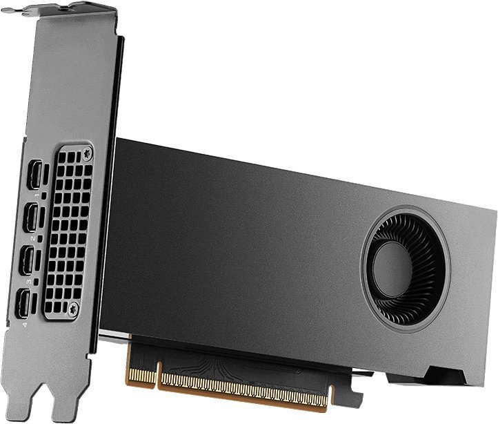 NVIDIA RTX PRO 2000 16GB Blackwell (BULK)