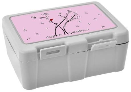 ORION Box UH svačina Lunch 18x14x7,5 cm dělený SRDÍČKA s