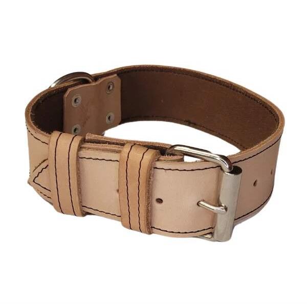 Palkar Obojek z kůže hlazenice pro psy 80 cm × 40 mm přírodní
