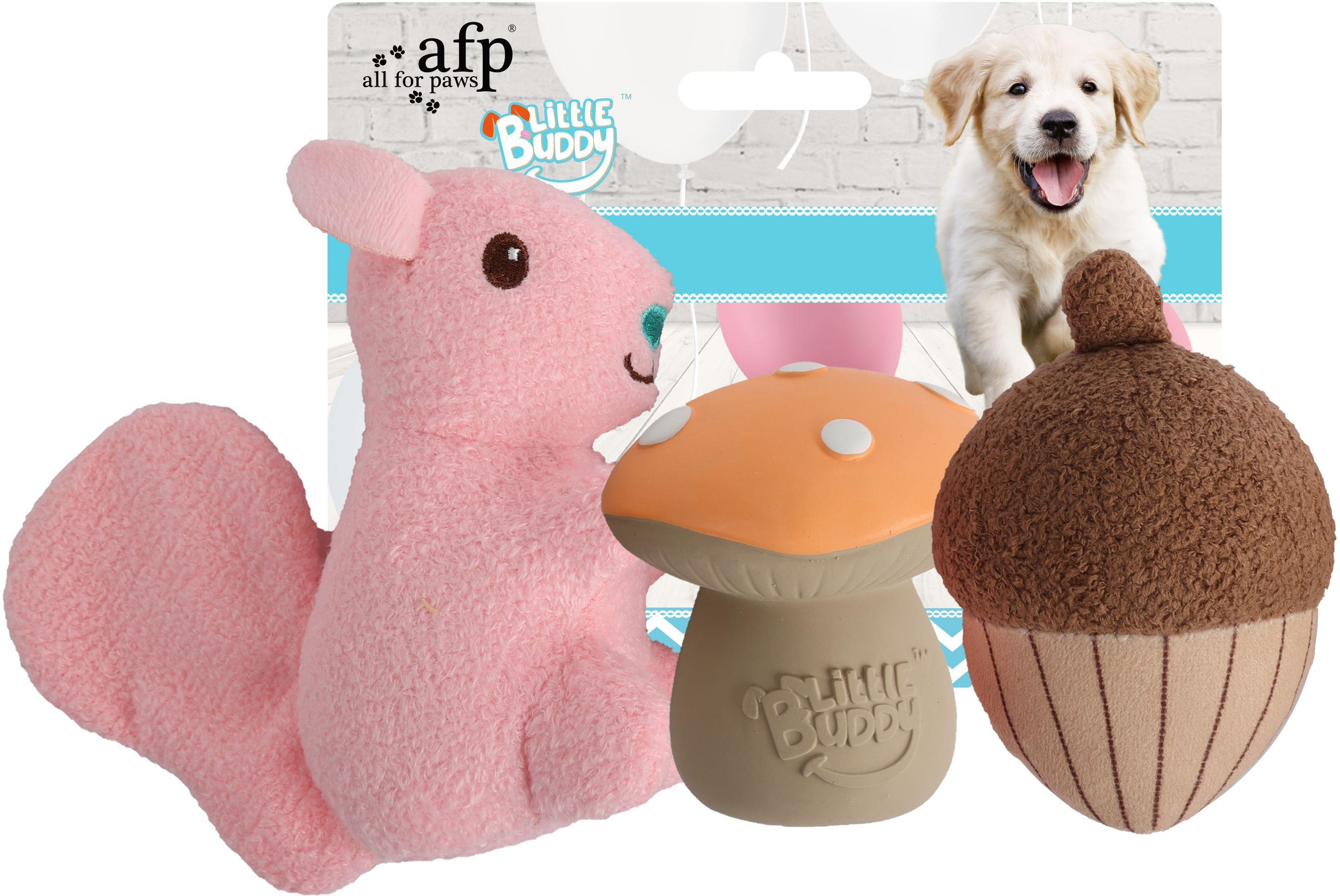 AFP Little Buddy Veverka s oříškem