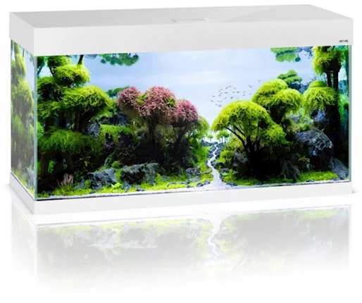 Aquael Aquarium Optiset 240 White