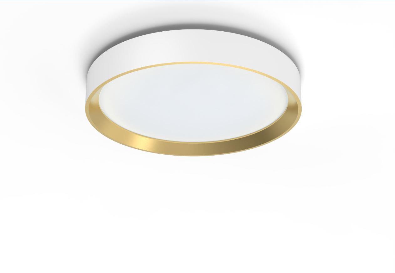 Philips Hanno stropní svítidlo LED, 24 W, 2800 lm, 4000 K, SceneSwitch, bílé/zlaté