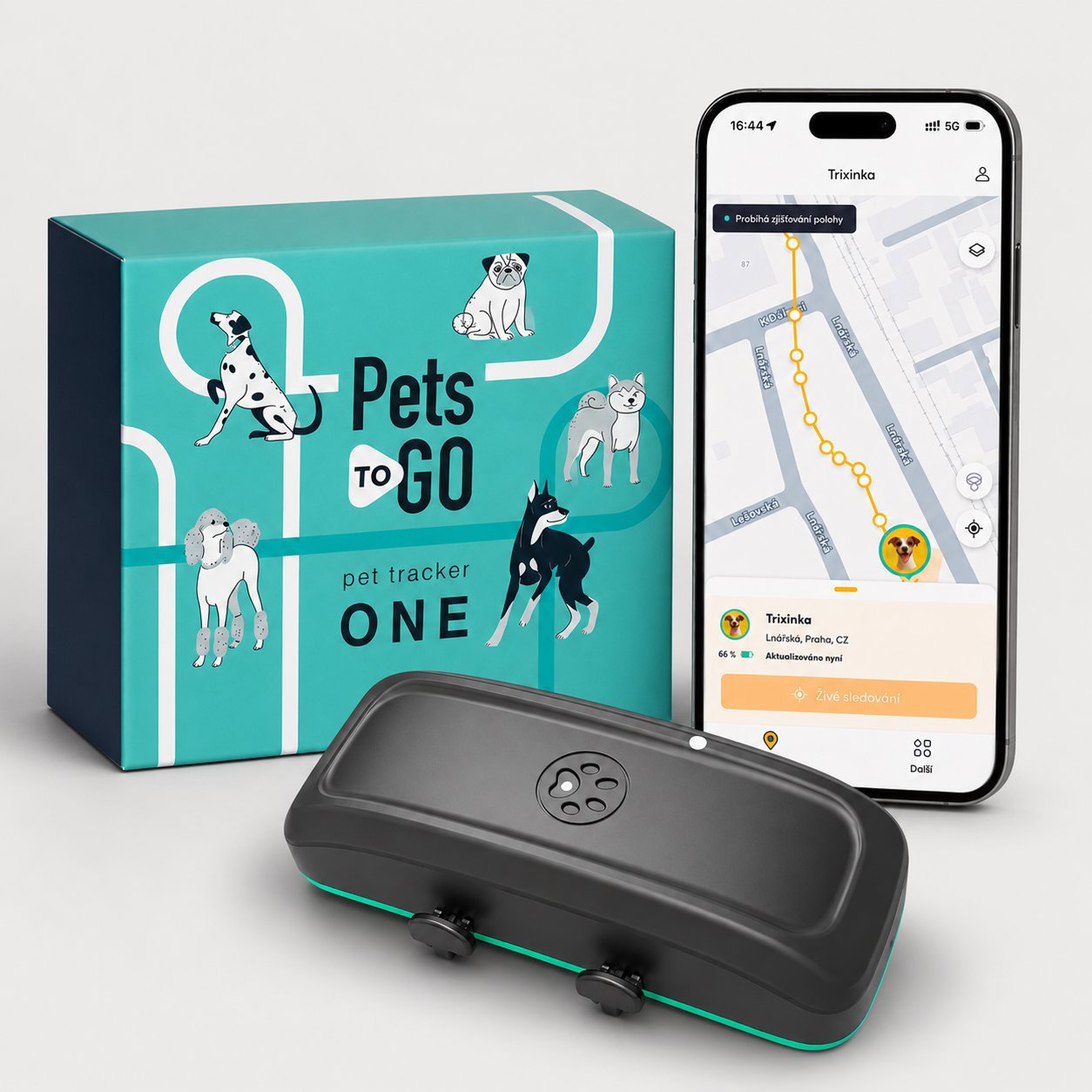 PetsToGo ONE