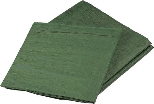 DEN BRAVEN Zakrývací plachta s kovovými oky Profi zelená 4 × 6 m, 120 g/m2