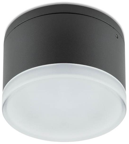 Redo 90107 - LED VenKovní stropní svítidlo AKRON 1xLED/9W/230V IP54