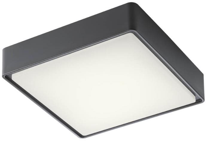 Redo 90157 - LED VenKovní stropní svítidlo MARINA 1xLED/12W/230V IP65