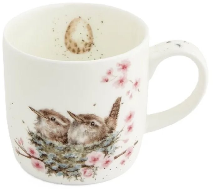 Royal Worcester Porcelánový hrnek Střízlíci