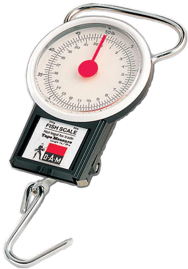 DAM Fish Scale 22kg