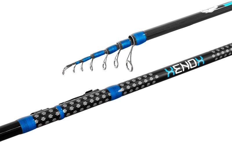 Delphin Xenox 6m