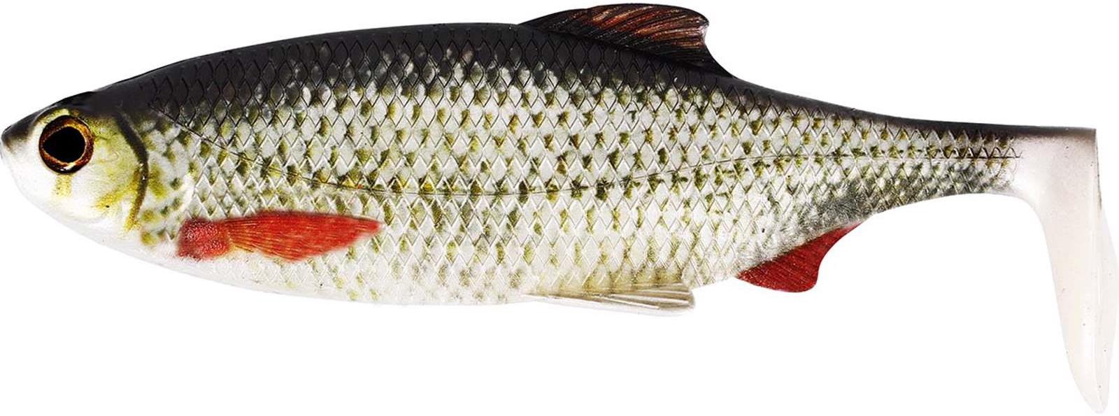 Westin Ricky the Roach Shadtail 10 cm, 14 g, Real Roach 2 ks