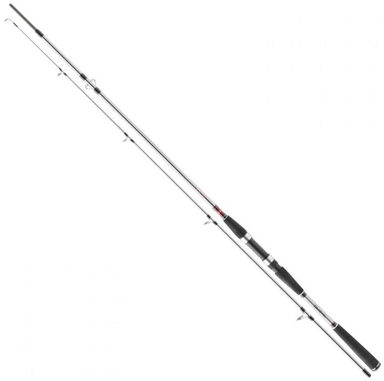 Daiwa Seahunter X 2,7 m 100-200 g