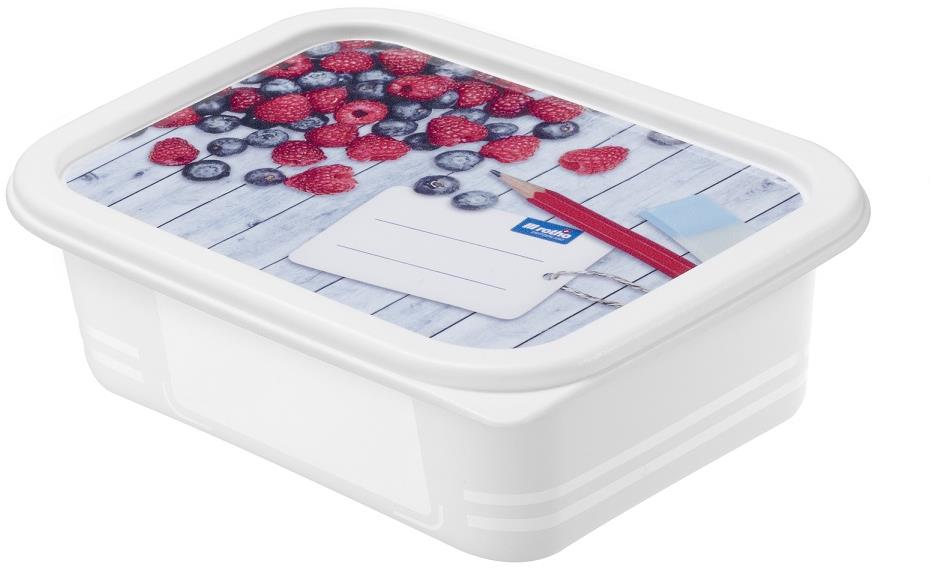 ROTHO Sada dóz do mrazničky Domino 4 × 0,5 l
