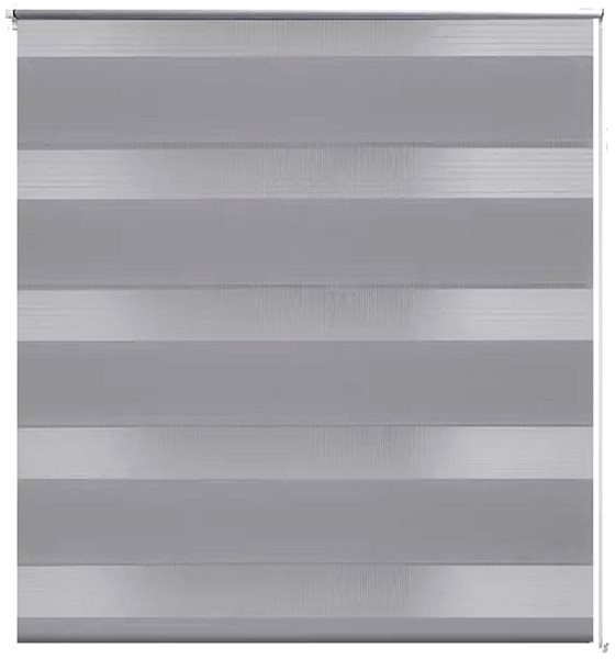 Roleta den a noc \ Zebra \ Twinroll 70x120 cm šedá