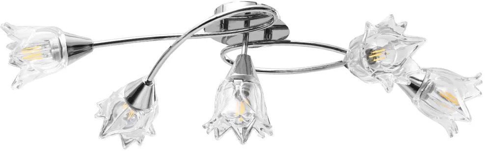 Stropní lampa průhledná skleněná stínidla 5 žárovek E14 tulipán