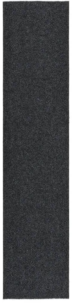Shumee Běhoun čisticí zóna 100 × 450 cm antracitový