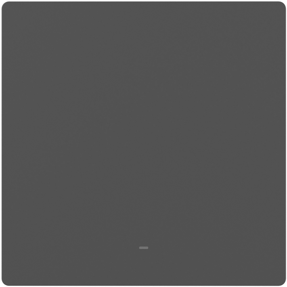 SONOFF SwitchMan Smart Wall Switch-M5 1 Gang Matter Gray