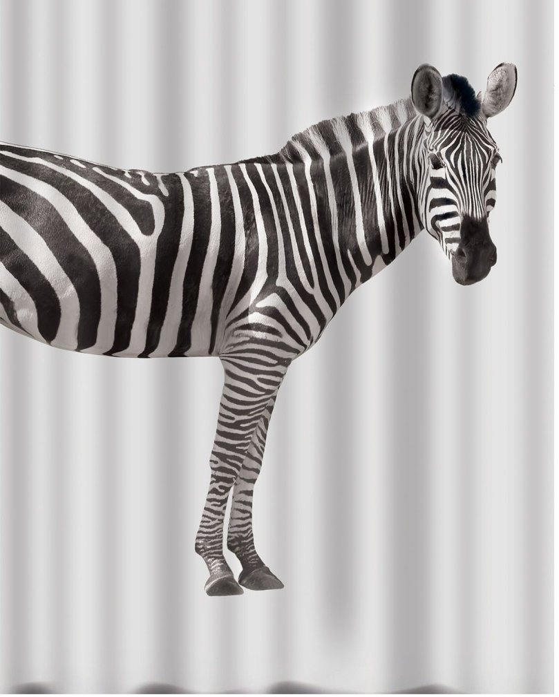 Spirella sprchový závěs ZEBRA, bílo-černý, 180 × 200 cm, polyester