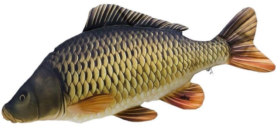 Gaby Polštář Kapr šupináč 100 cm