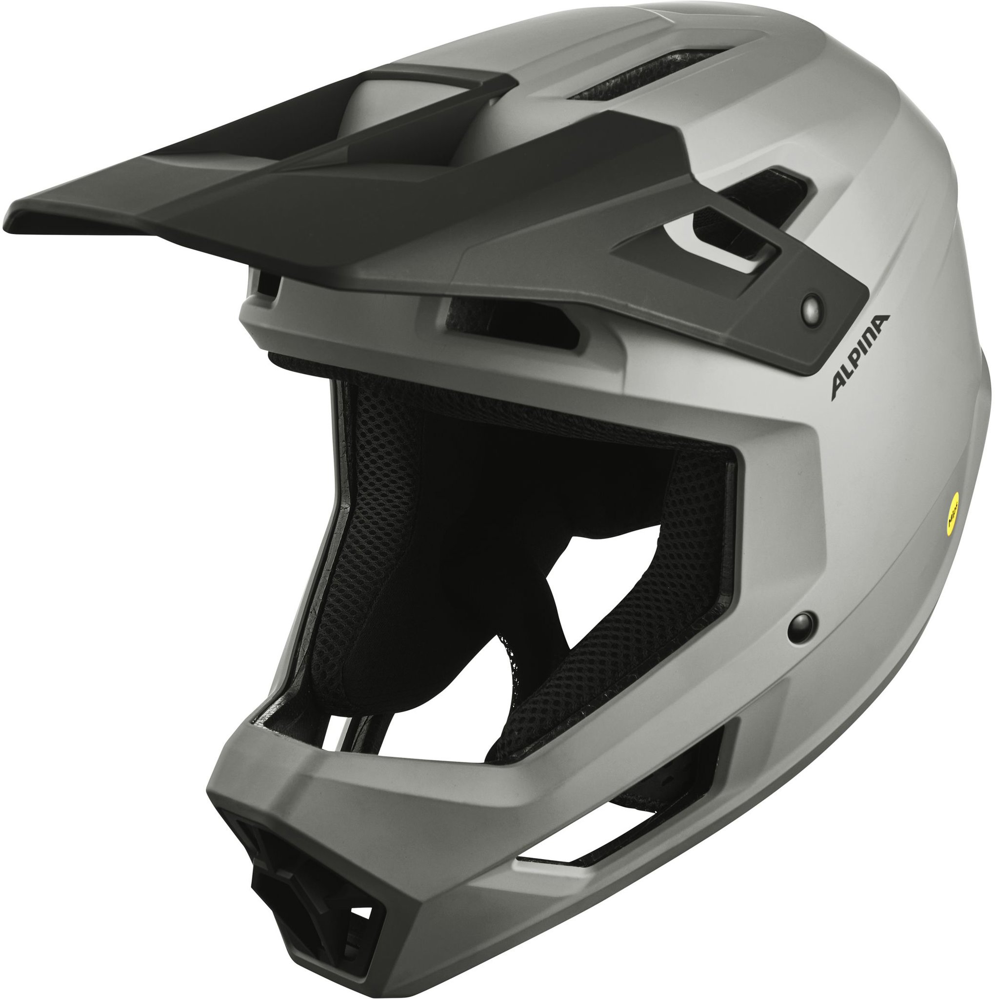 Alpina Pikes MIPS smoke grey matt XL