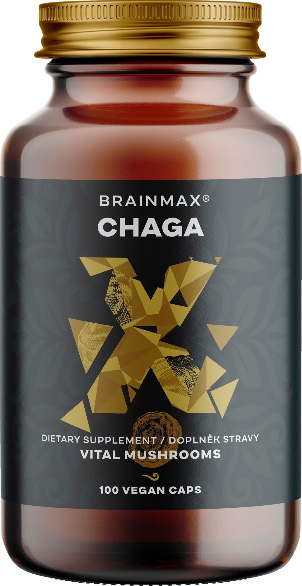 BrainMax Chaga extrakt, 50 % polysacharidů a 20 % beta-1,3/1,6 D-glukanů, 500 mg, 100 rostlinných ka