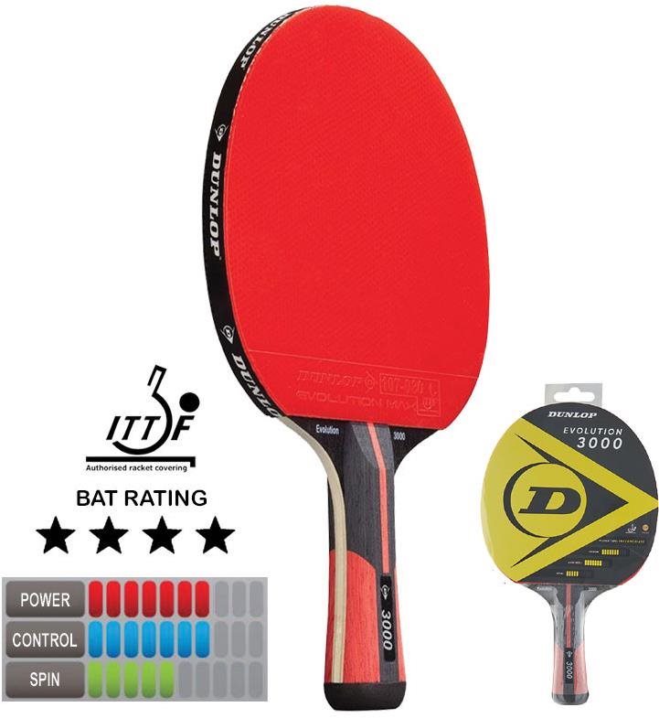 Dunlop Evolution 3000