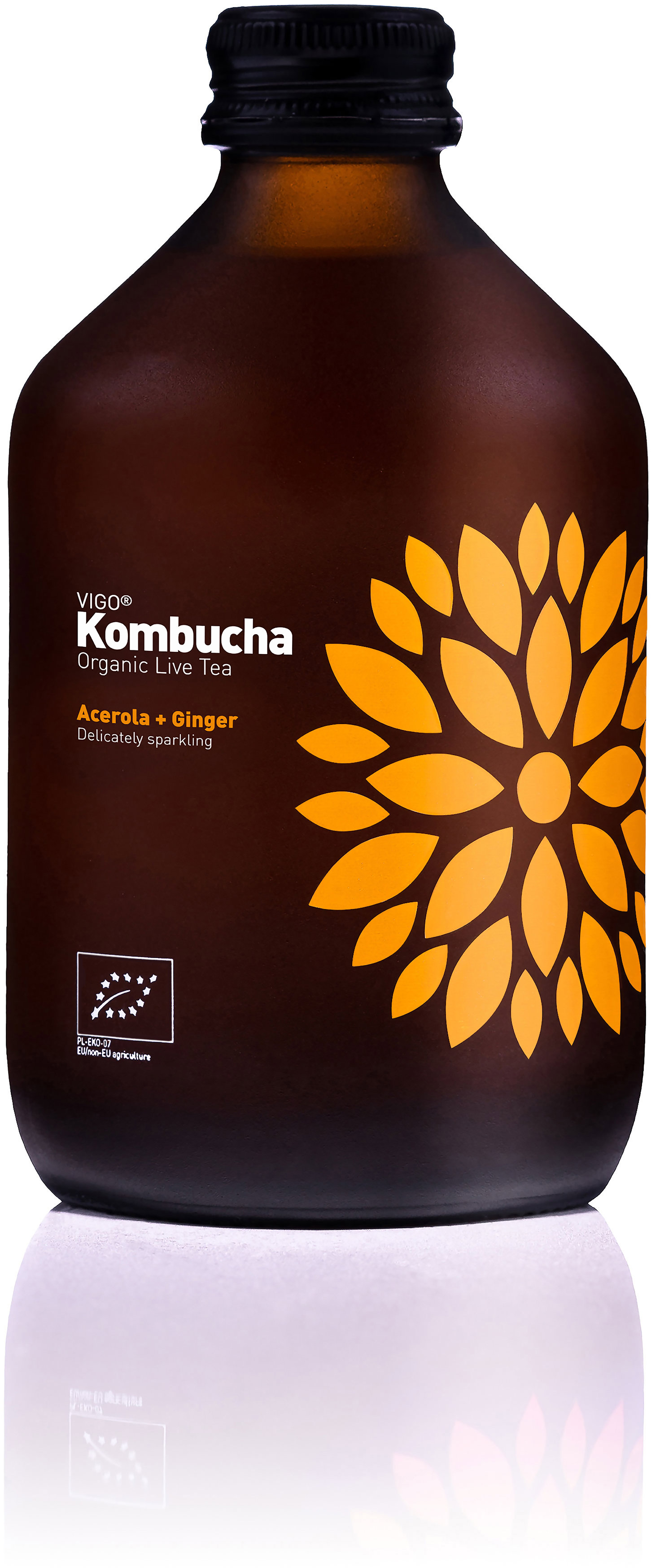 VIGO Kombucha Acerola a zázvor BIO 330 ml