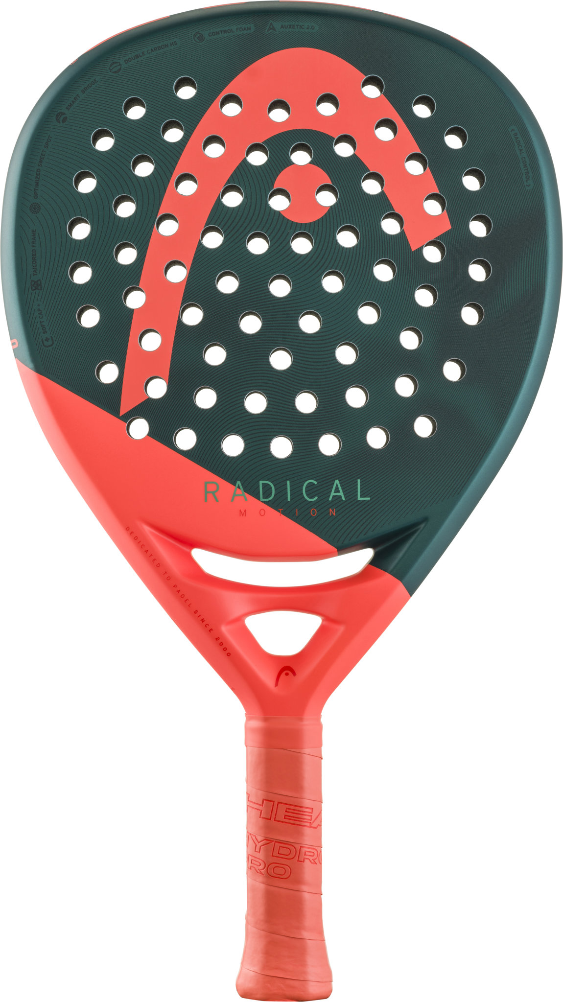 Head Radical Motion 2026
