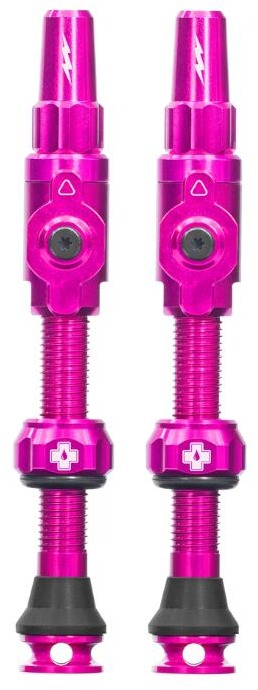 Big Bore Lite Tubeless Valves Pink Large
