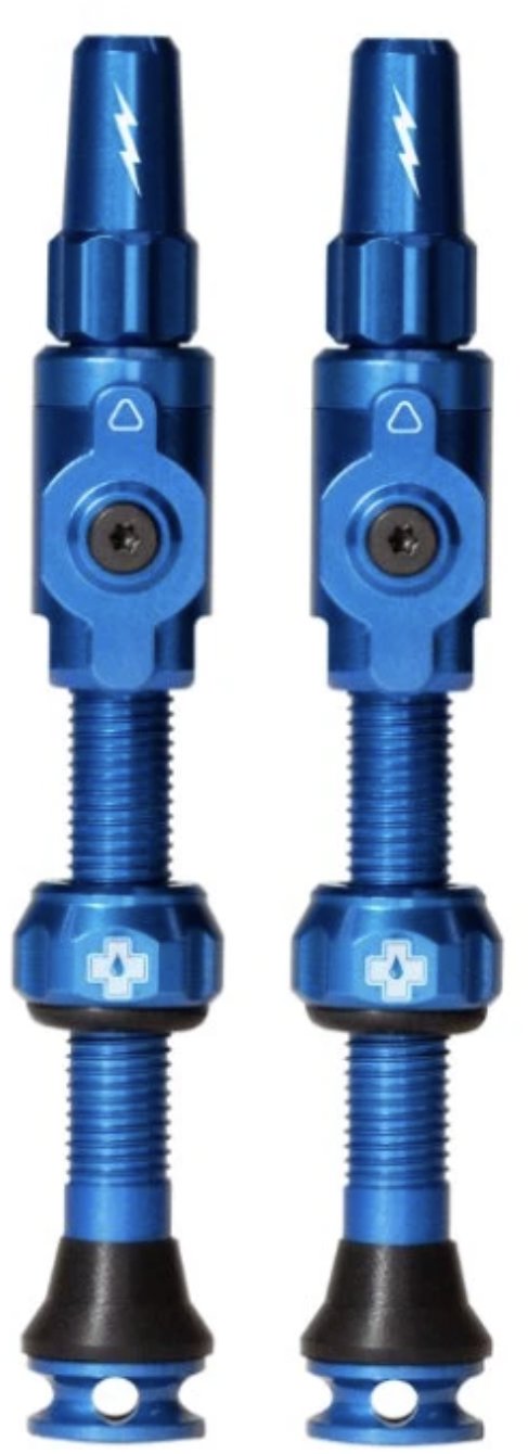 Big Bore Hybrid Tubeless Valves Blue Large