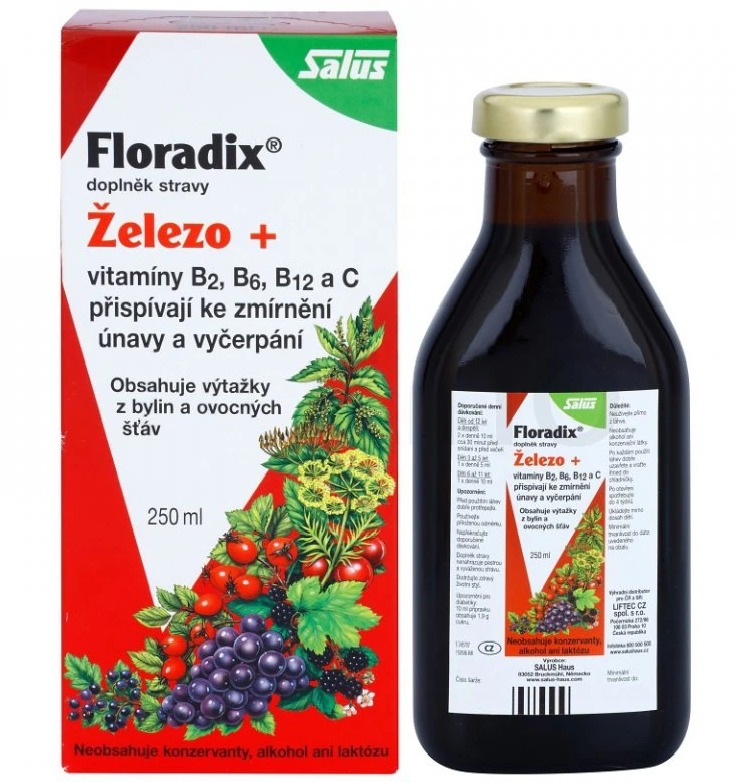 SALUS Floradix 250 ml