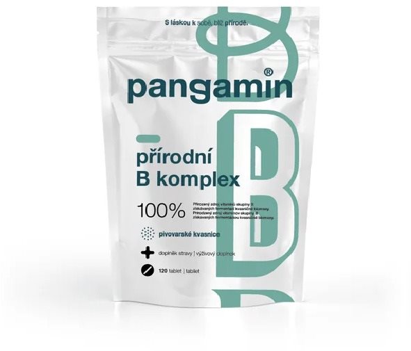 Pangamin přírodní B komplex 120 tablet