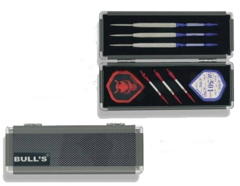 Bull's Dartsafe M
