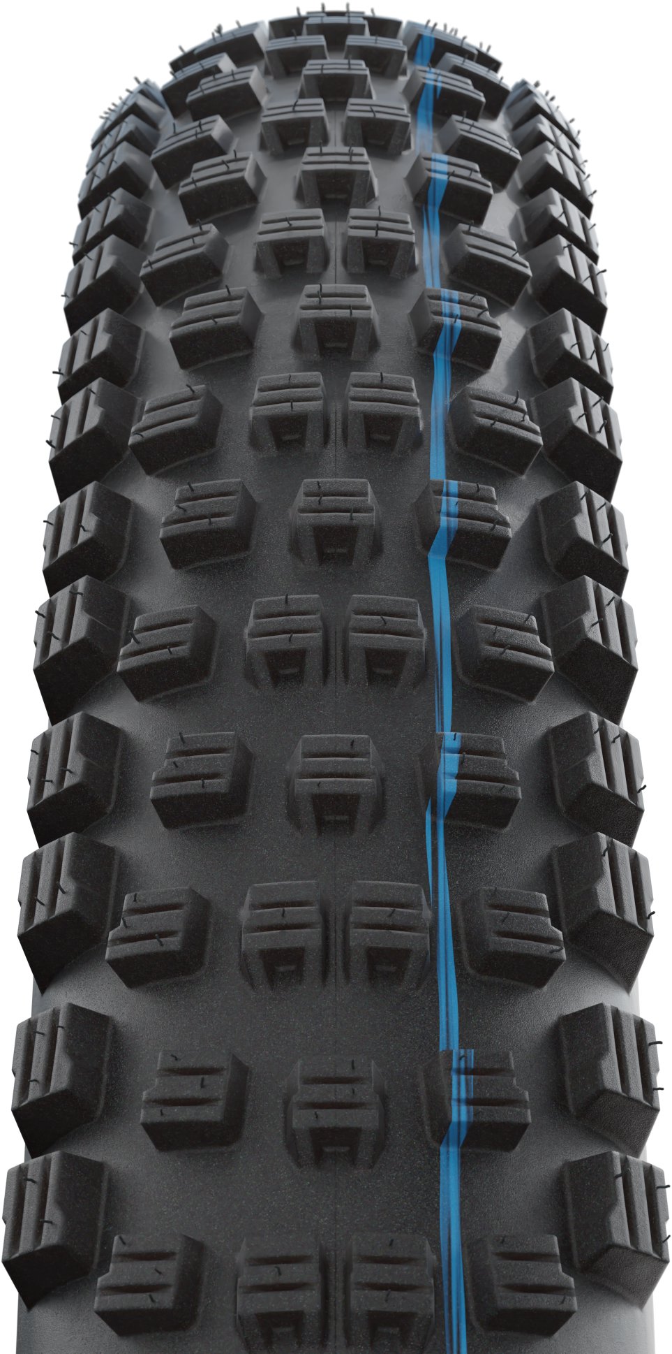Schwalbe Wicked Will 29 × 2,40 SuperRace Addix SpeedGrip TLE transparent skin skládací