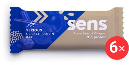 SENS Serious Protein tyčinka s 20g bílkovin a cvrččí moukou, 6 x 60g, arašídové máslo & skořice