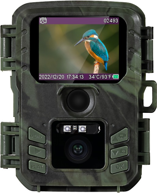 Suntek Mini Wildlife Camera