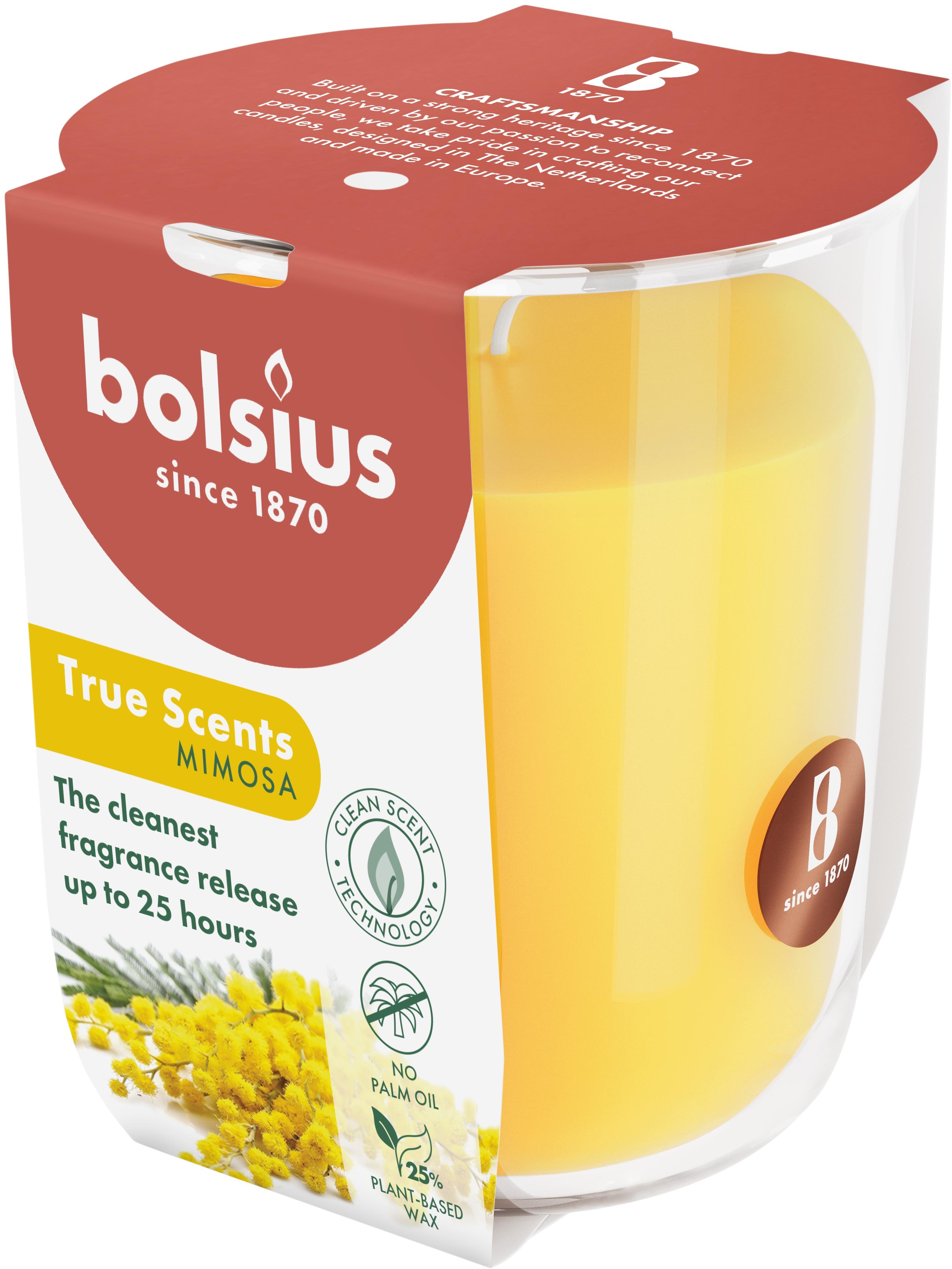 BOLSIUS Mimosa 25 h