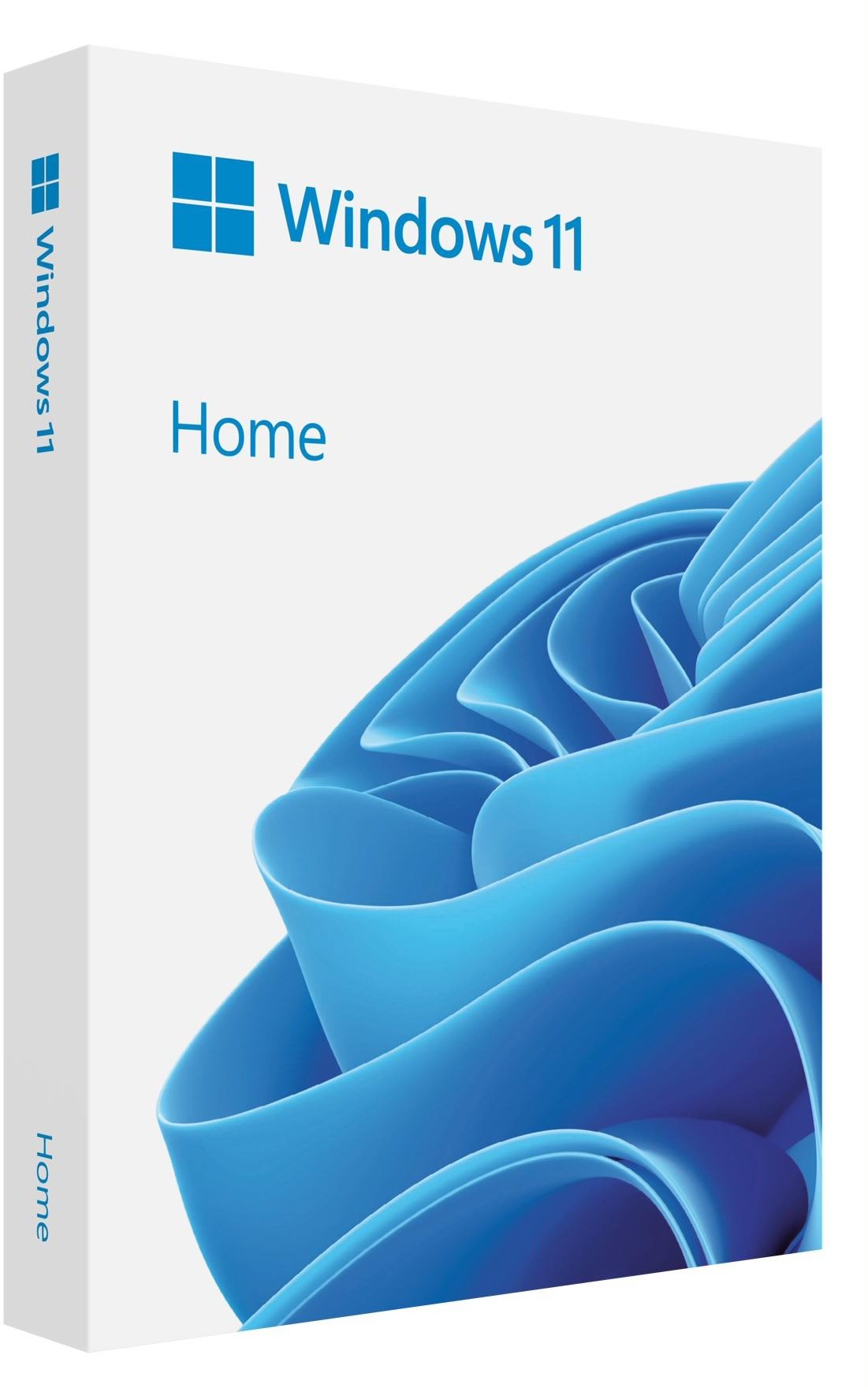 Microsoft Windows 11 Home, EN, USB (FPP)