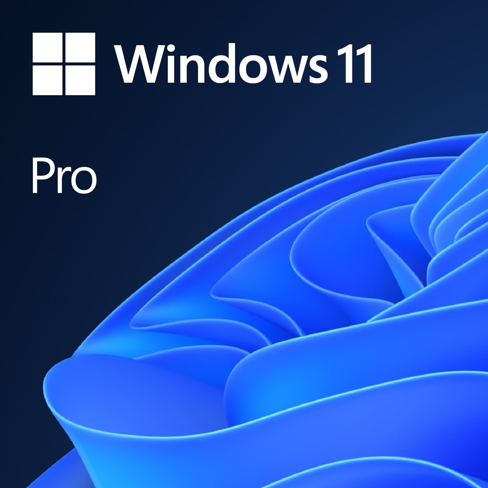 Obrázek Microsoft Windows 11 Pro EN (OEM) balení