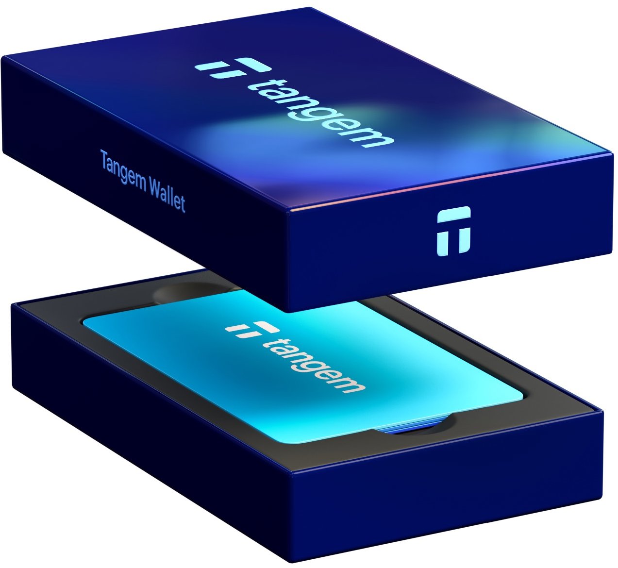 Tangem Wallet 3 Card Set, Electric Night