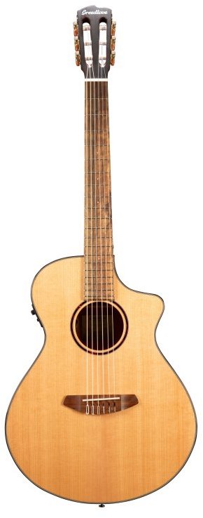 Two Old Hippies Breedlove Discovery S Concert Nylon CE