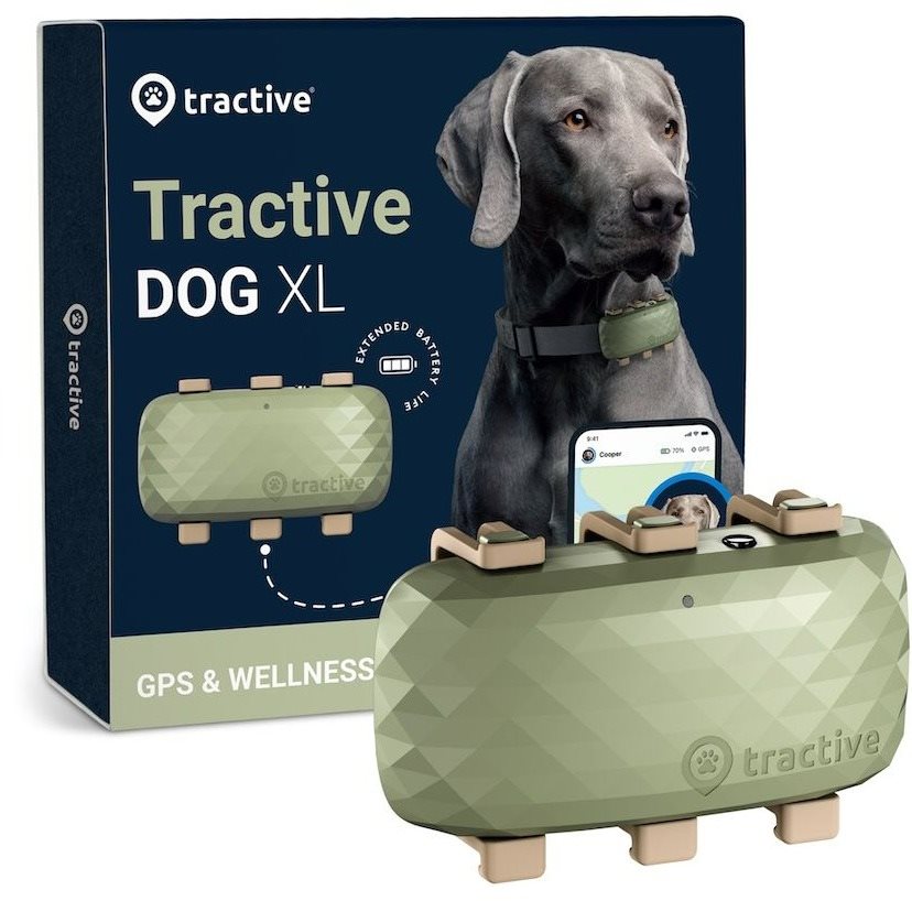 Tractive DOG XL, zelený