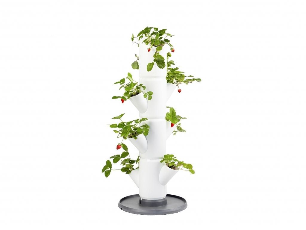 Gusta Garden SISSI STRAWBERRY starter samozavlažovací truhlík 4 patra, bílý