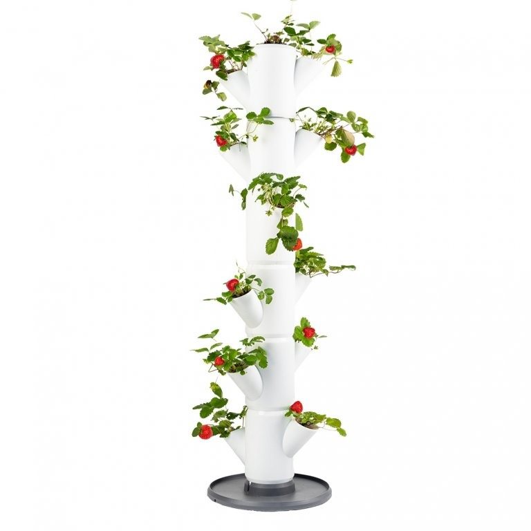 Gusta Garden SISSI STRAWBERRY classic samozavlažovací truhlík 6 pater bílý