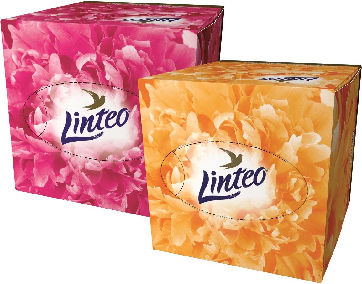 LINTEO Premium box 60 ks