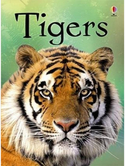 Usborne Tigers
