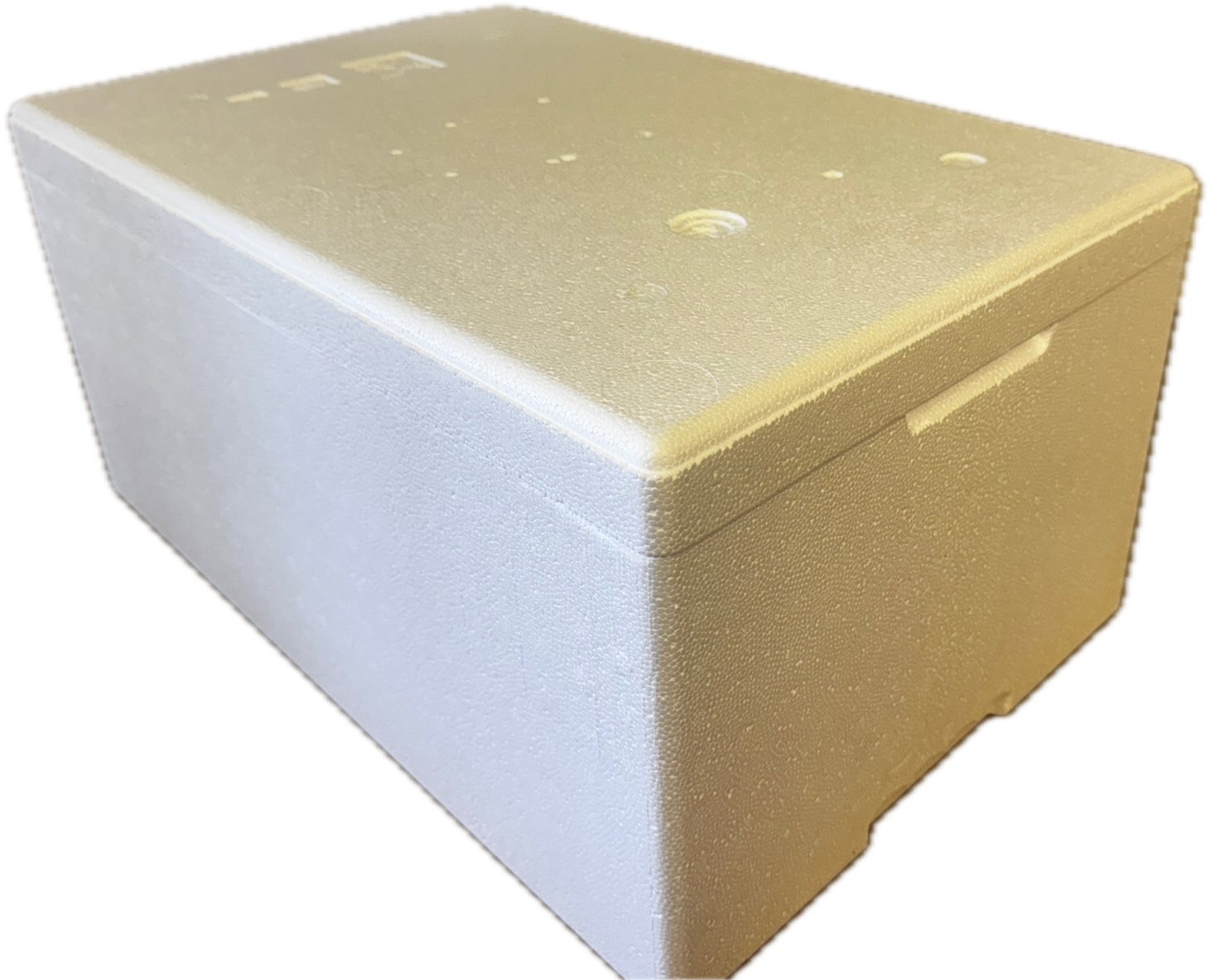 Termoboxy CZ & SK Polystyrenový termobox 31 l / 26 kg