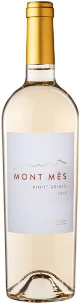 Castelfeder Mont Mes - Pinot Grigio Vigneti delle Dolomiti IGT 2020 bílé suché 0,75 l 12,5 %