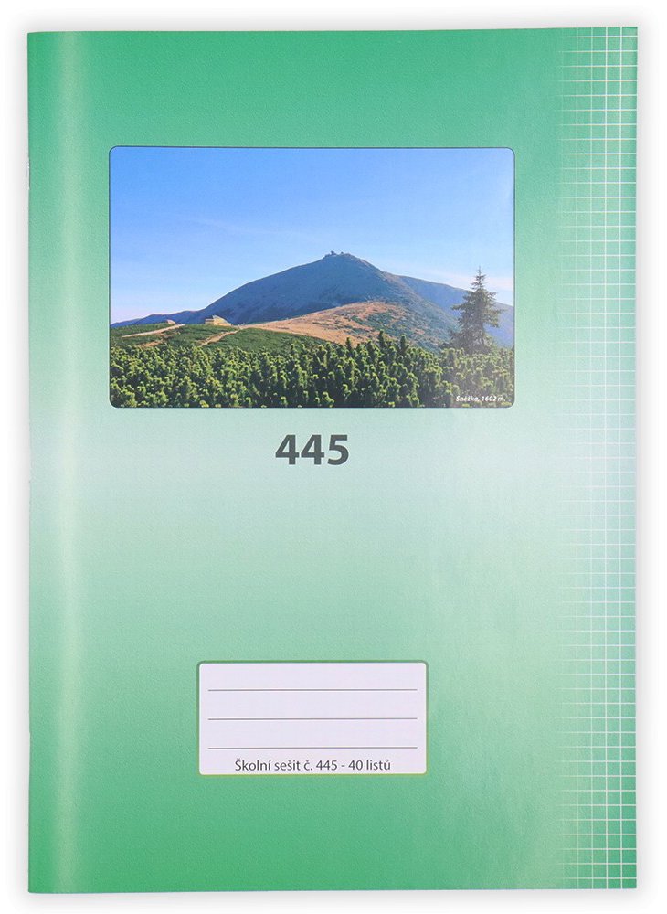 Čtverečkovaný sešit PAPÍRNA MARTINÍK A4, 40 listů