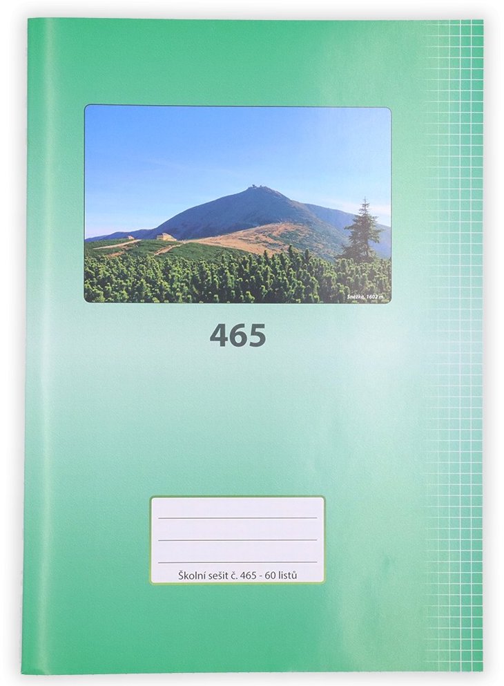 Čtverečkovaný sešit PAPÍRNA MARTINÍK A4, 40 listů